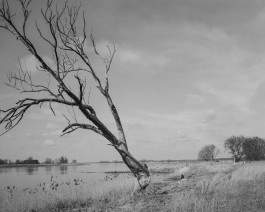 Ute Mahler, Werner Mahler, Ostkreuz - Agentur der Fotografen