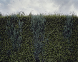 Ute Mahler, Werner Mahler, Ostkreuz - Agentur der Fotografen