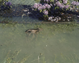 Ute Mahler, Werner Mahler, Ostkreuz - Agentur der Fotografen