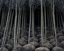 Ute Mahler, Werner Mahler, Ostkreuz - Agentur der Fotografen