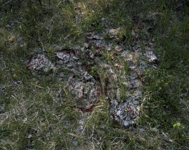 Ute Mahler, Werner Mahler, Ostkreuz - Agentur der Fotografen