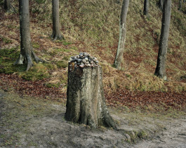 Ute Mahler, Werner Mahler, Ostkreuz - Agentur der Fotografen