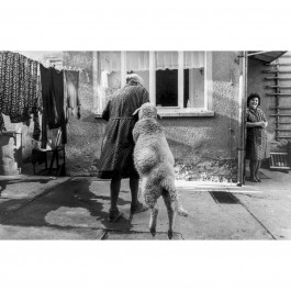 Ute Mahler, Werner Mahler, Ostkreuz - Agentur der Fotografen