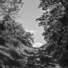 Ute Mahler, Werner Mahler, Ostkreuz - Agentur der Fotografen