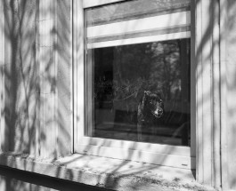 Ute Mahler, Werner Mahler, Ostkreuz - Agentur der Fotografen