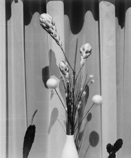 Ute Mahler, Werner Mahler, Ostkreuz - Agentur der Fotografen