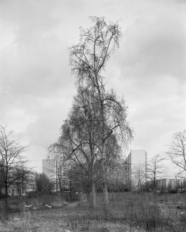 Ute Mahler, Werner Mahler, Ostkreuz - Agentur der Fotografen
