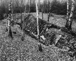 Ute Mahler, Werner Mahler, Ostkreuz - Agentur der Fotografen