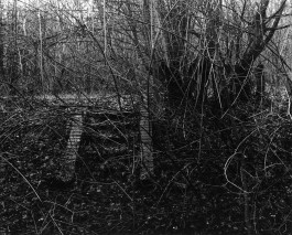 Ute Mahler, Werner Mahler, Ostkreuz - Agentur der Fotografen