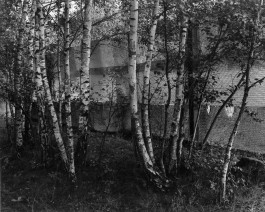 Ute Mahler, Werner Mahler, Ostkreuz - Agentur der Fotografen