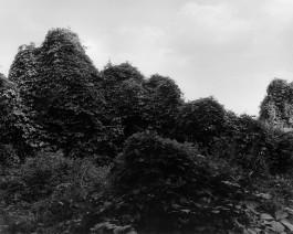 Ute Mahler, Werner Mahler, Ostkreuz - Agentur der Fotografen