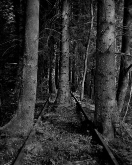Ute Mahler, Werner Mahler, Ostkreuz - Agentur der Fotografen